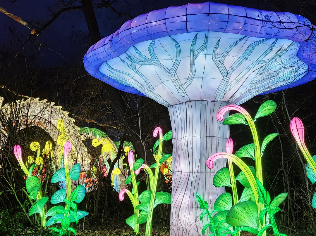 Zoo Halle (Mountain Zoo)-哈雷必去景点