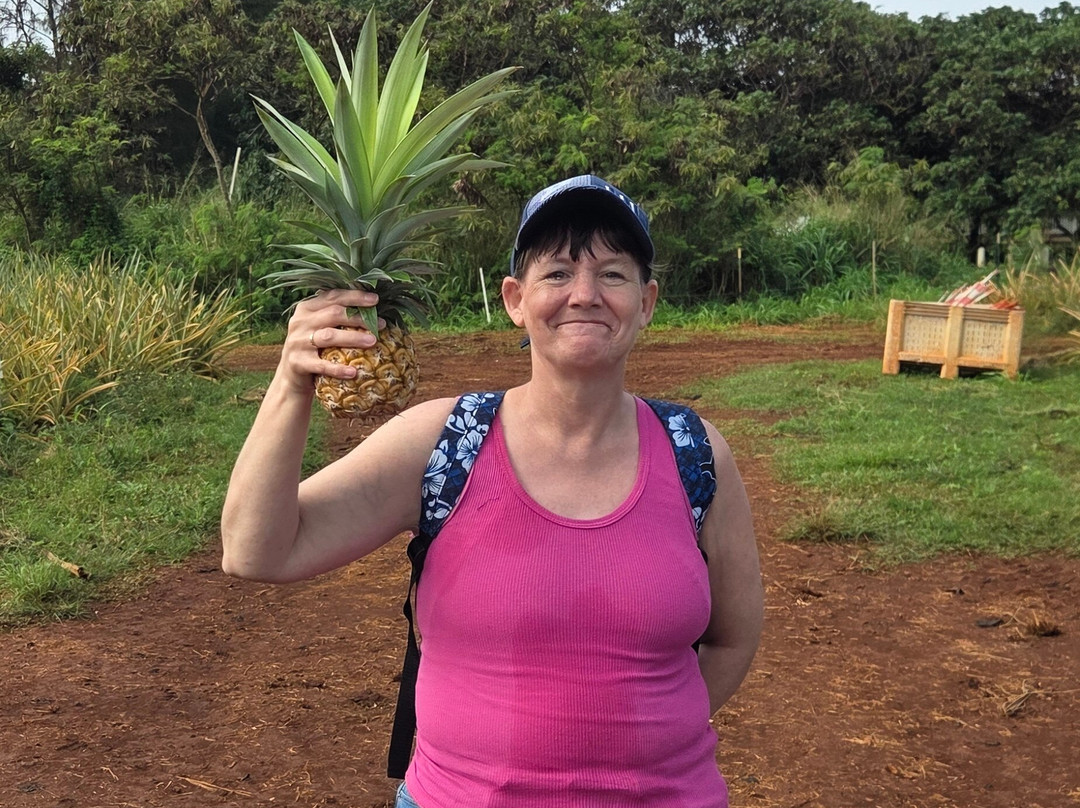Sugarloaf Pineapple Farm-基拉韦厄必去景点