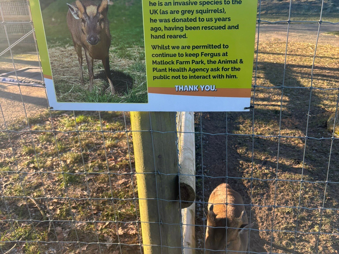 Matlock Farm Park-马特洛克必去景点