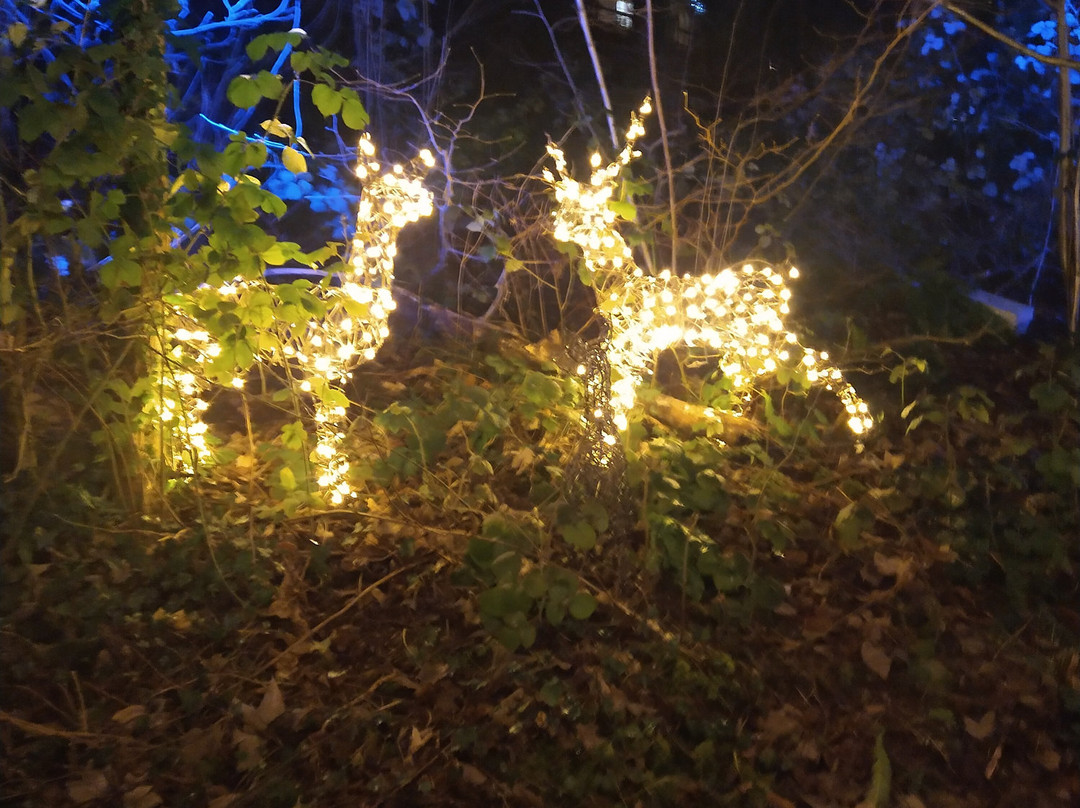 Mendip Activity Centre-Churchill必去景点