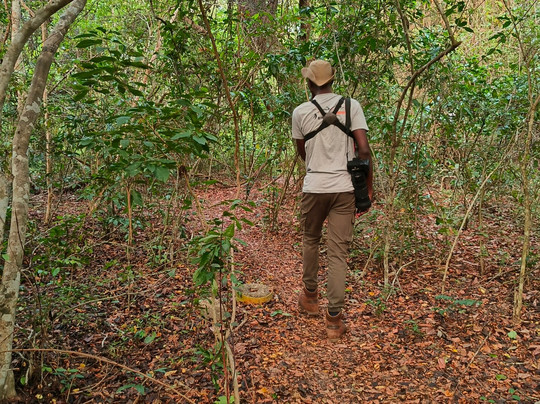 Terek Birding Tours-瓦塔木必去景点
