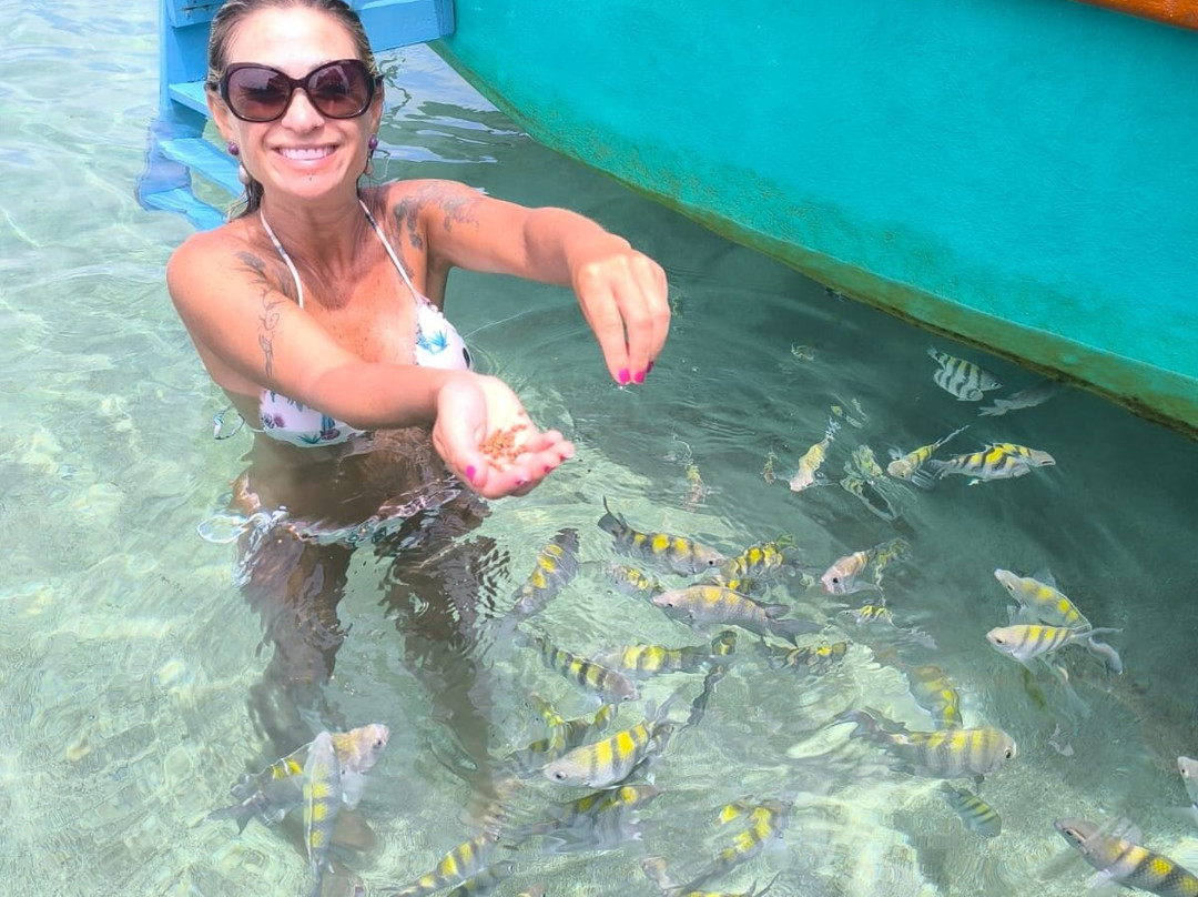 Maceió Passeios-Maceio必去景点