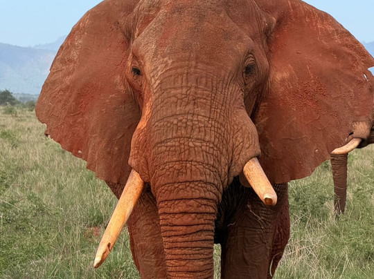 In Kenya Con Paulo-瓦塔木必去景点