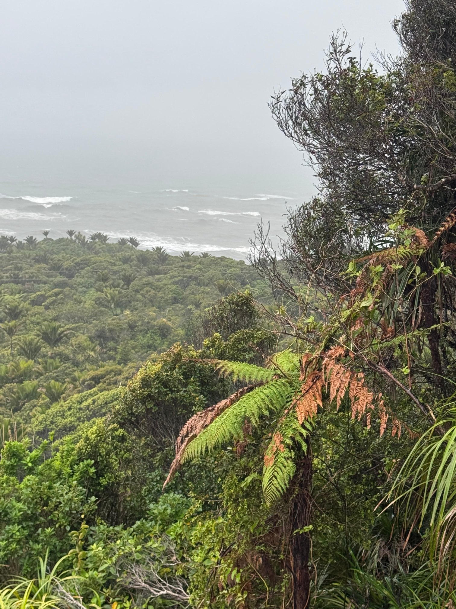 普那凯基度假酒店-官方