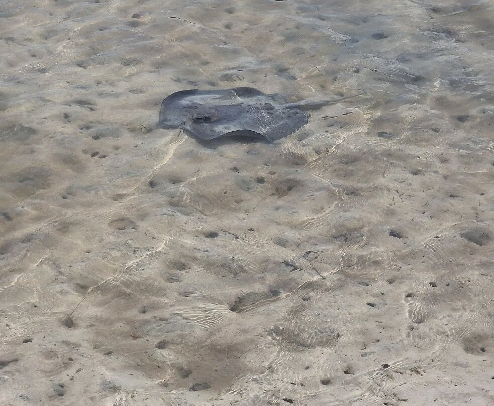 Infinity Charter Seychelles-普拉兰岛必去景点