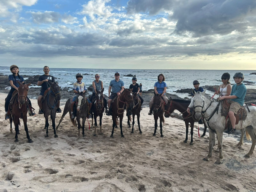 Guti Tours-Playa Avellanas必去景点