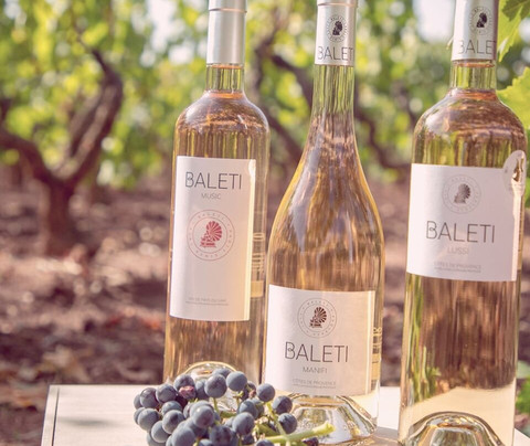 Cave Vignerons du Luc-Le Luc必去景点