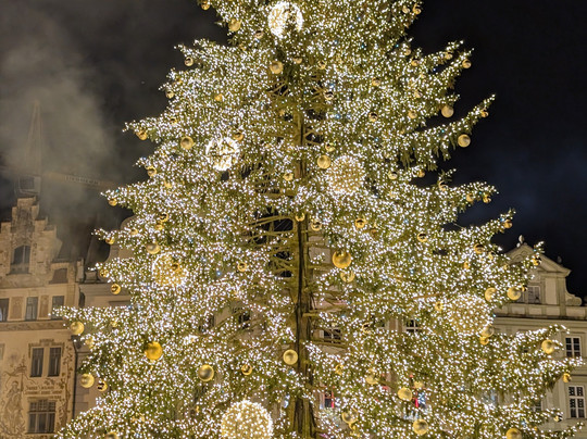 European Castles Tours-菲森必去景点