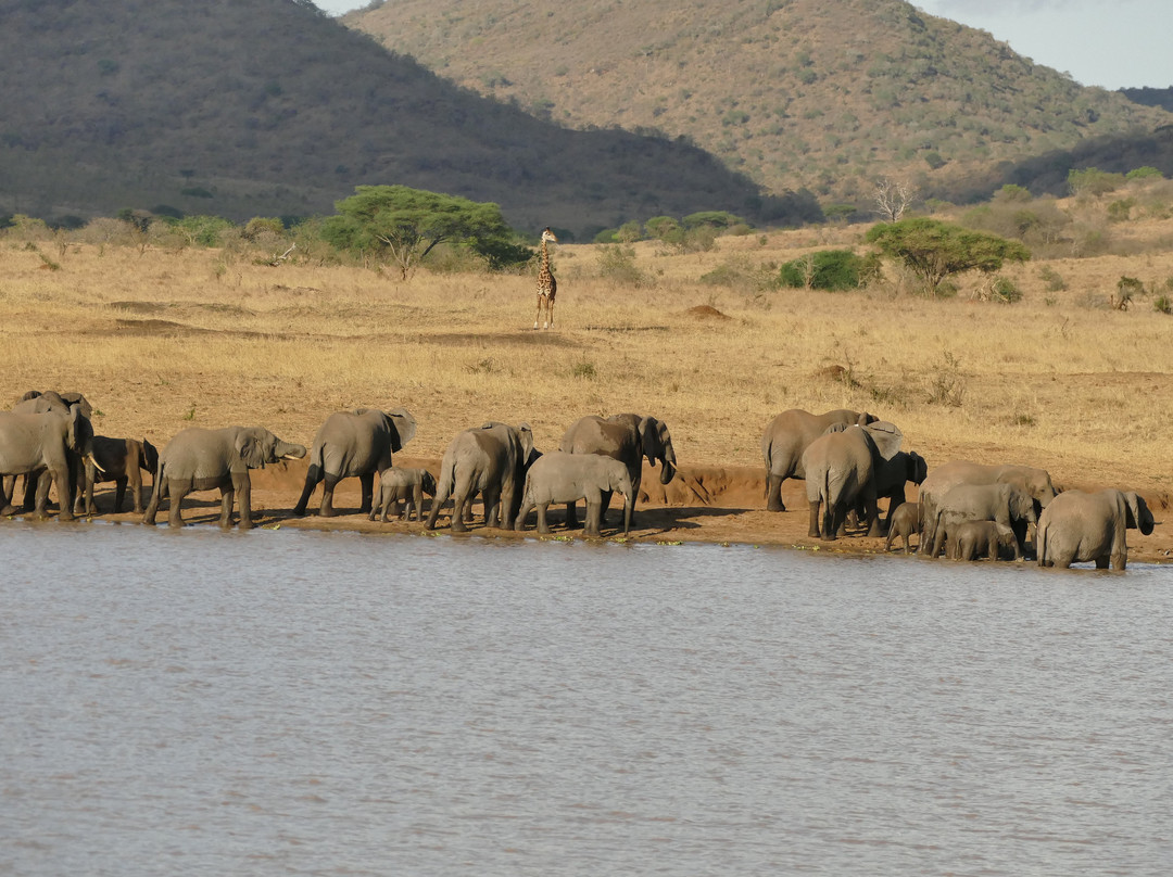 Mkomazi National Park-Gonja必去景点