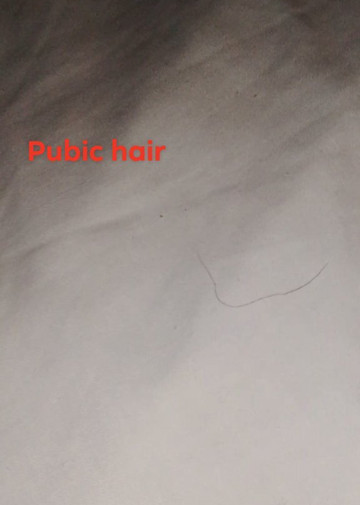 Junction Motel Wagga主图