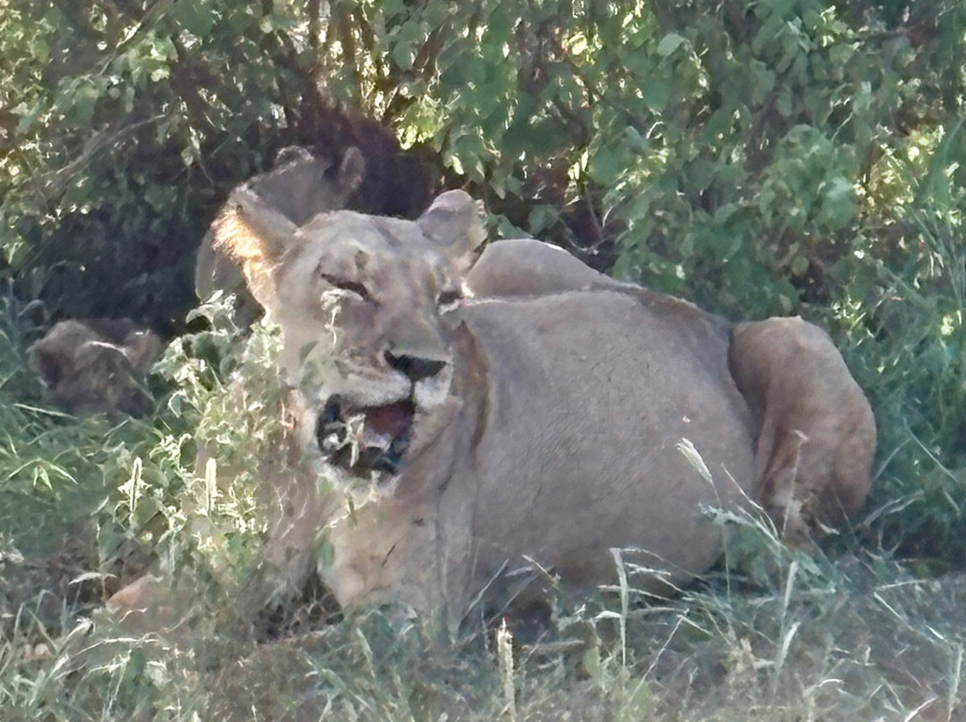 Discovery Kenya con Fragola-瓦塔木必去景点