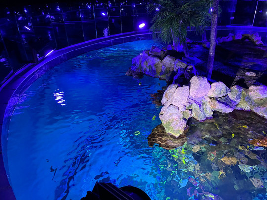 Poema Del Mar-大加那利岛拉斯帕尔马斯必去景点