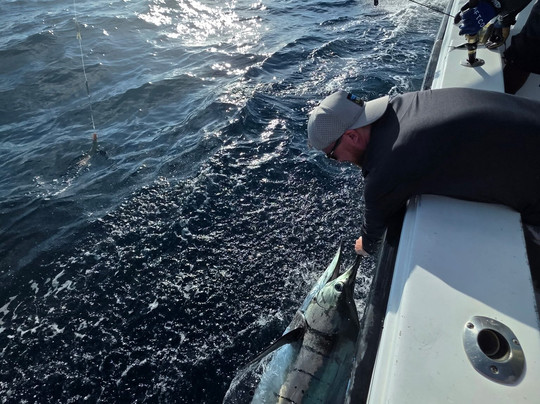 Tamarindo Sportfishing-塔马林多必去景点