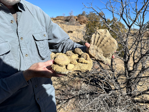 New Mexico Jeep Tours-阿尔伯克基必去景点