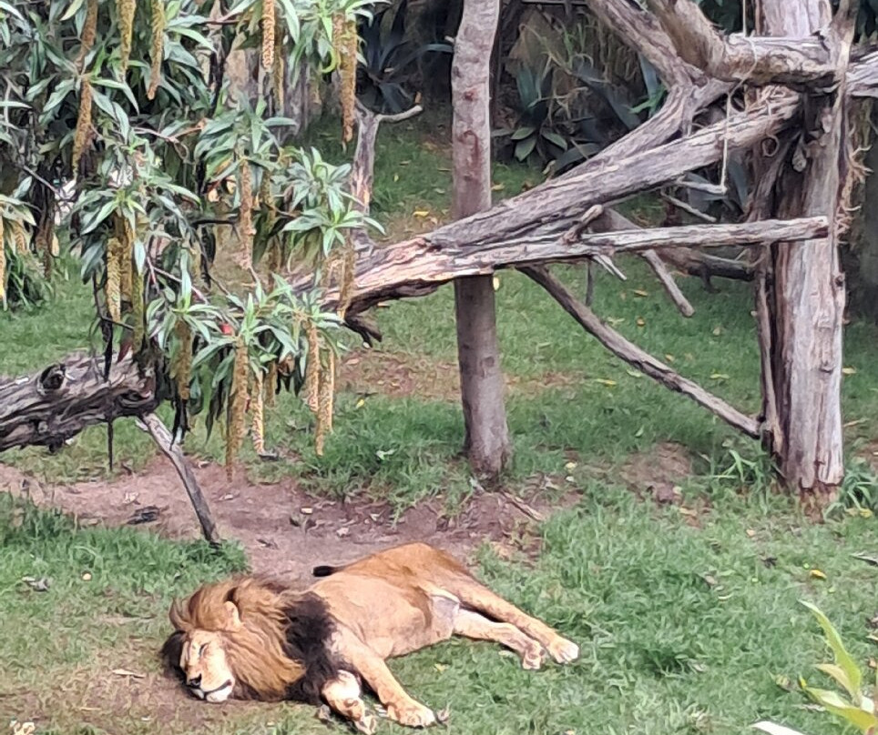 Bioparque Guátika-Tibasosa必去景点