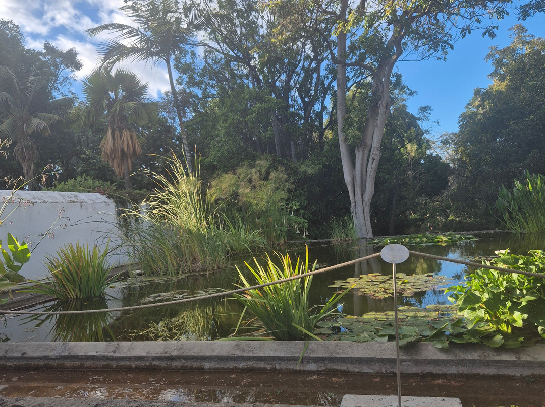 Botanischer Garten-德拉克鲁兹索尔港必去景点