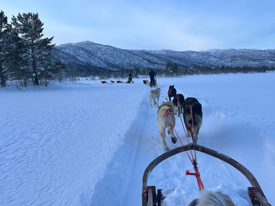 Geilo Husky Day Tours-耶卢必去景点
