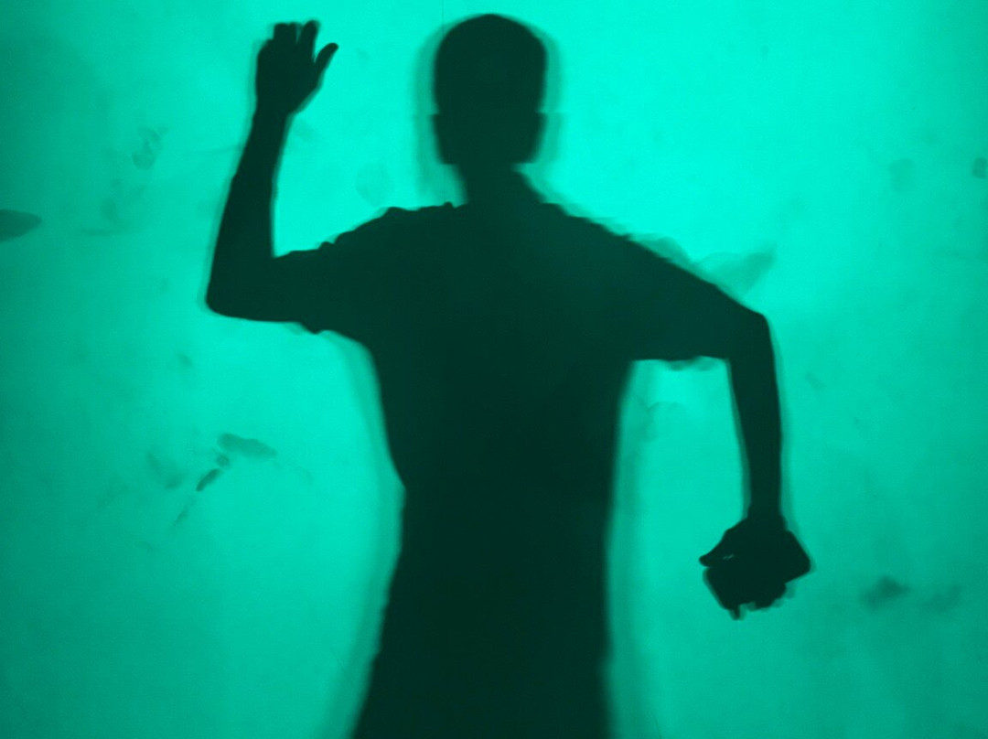 Museum Of Illusions Yerevan-埃里温必去景点