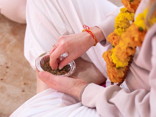 Rishikesh Yogkulam-里希克虚必去景点