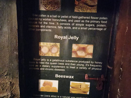 Beecraft Honey Museum-Kunnathidavaka必去景点