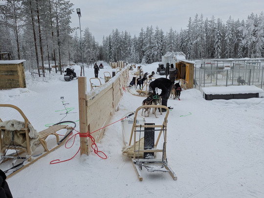 Aavasaksa Adventures-Ylitornio必去景点