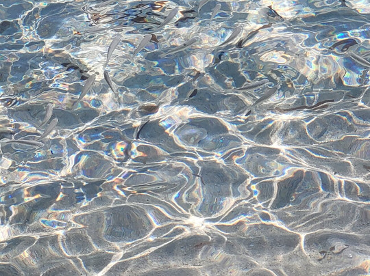 Plage de Tamaricciu-维琪奥港必去景点