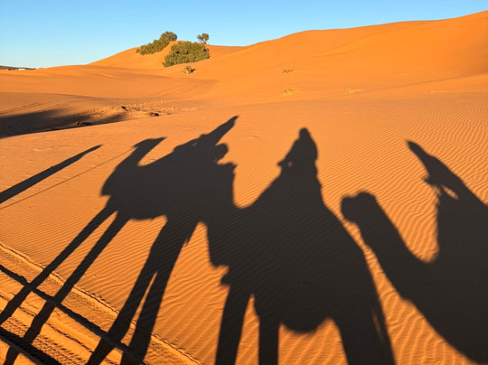 Desert Excursion Morocco-丹吉尔必去景点