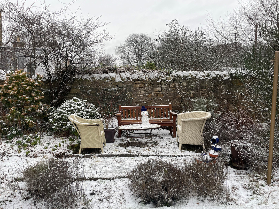 Moatville Cupar