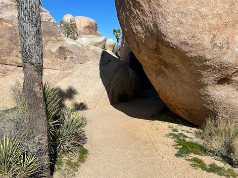 Cap Rock Trail-约书亚树国家公园必去景点