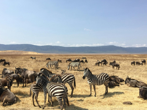 5-Day Budget Safari – Northern Tanzania