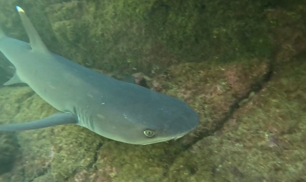 Galapagos Surf Adventure-Puerto Baquerizo Moreno必去景点