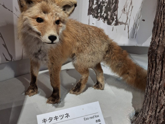 Asahidake Visitor Center-东川町必去景点