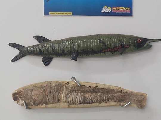 Museu de Paleontologia de Fernandópolis-Fernandopolis必去景点