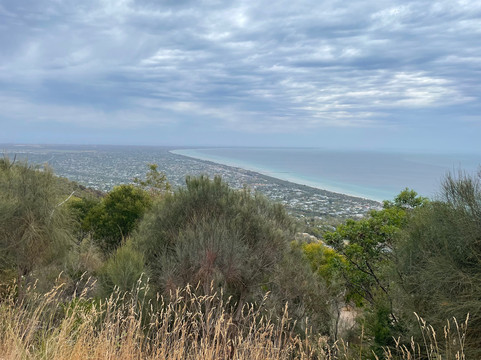 Chapmans Point-Arthurs Seat必去景点
