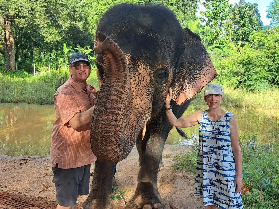 Elephant Bathing at Habarana-哈巴拉娜必去景点