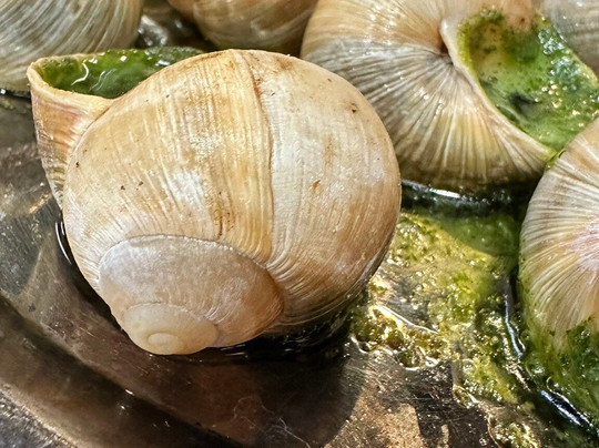 里昂美食市场-里昂必去景点