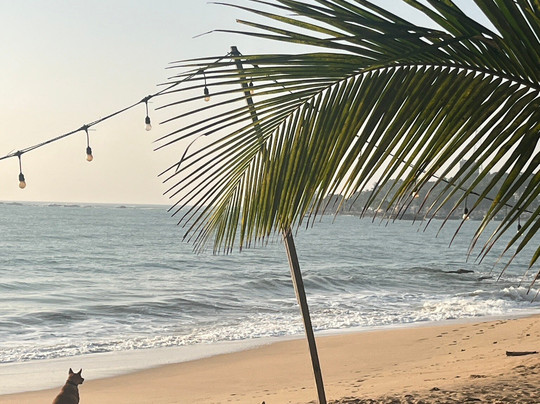 Rokmi Tours Sri Lanka-康提必去景点