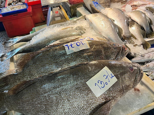 Bengitours-曼谷必去景点