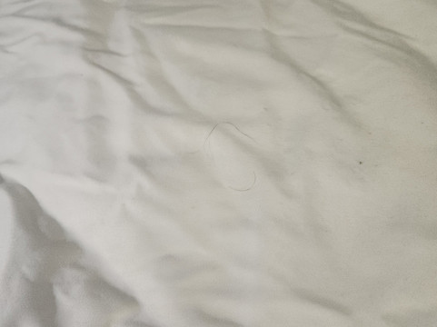 Quality Inn Franklin I-65主图