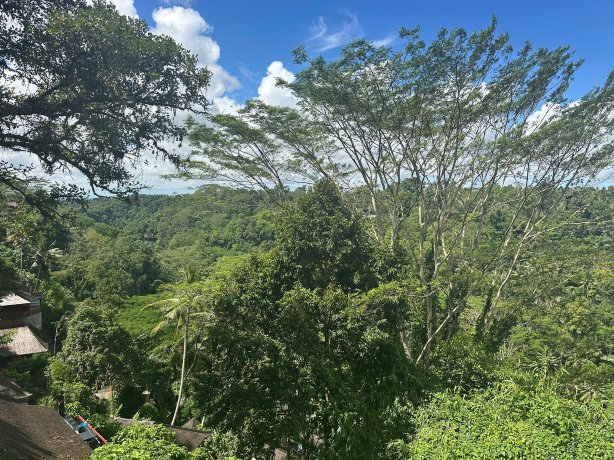 巴龙蝴蝶度假村-官方