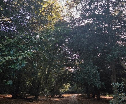 Thornham Walks-Eye必去景点