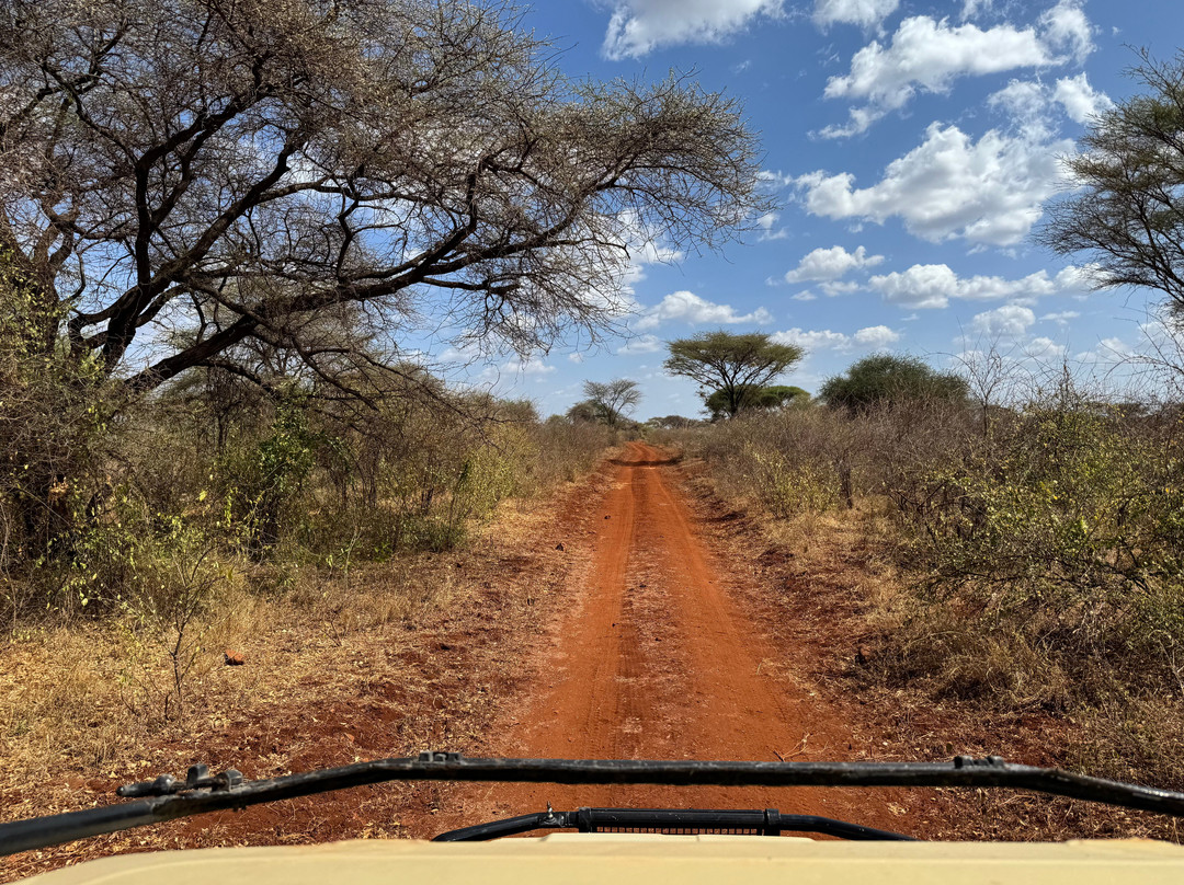 Agenzia Safari Vera Africa-东察沃国家公园必去景点