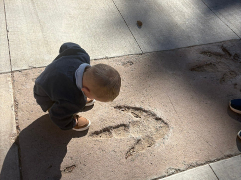 University of Wyoming Geological Museum-拉勒米必去景点