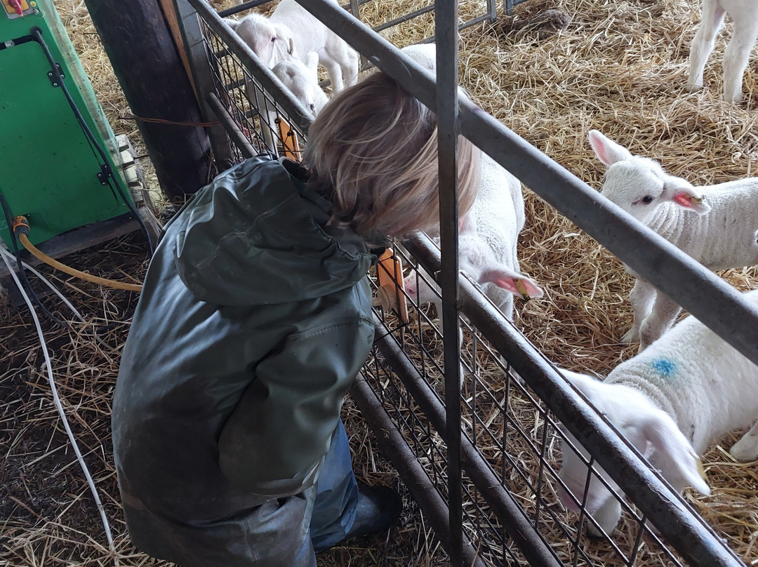 Errington Cheese-Walston必去景点