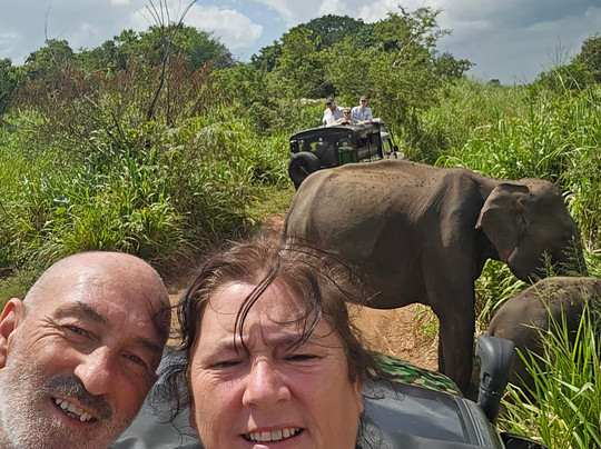 Stellar Srilanka-Gampaha必去景点