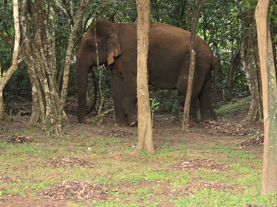 Stellar Srilanka-Gampaha必去景点
