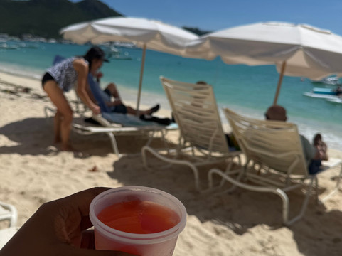 Blue Bubbles Sports & Tours-菲利普斯堡必去景点