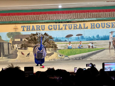Tharu Culture Programme-苏拉哈必去景点