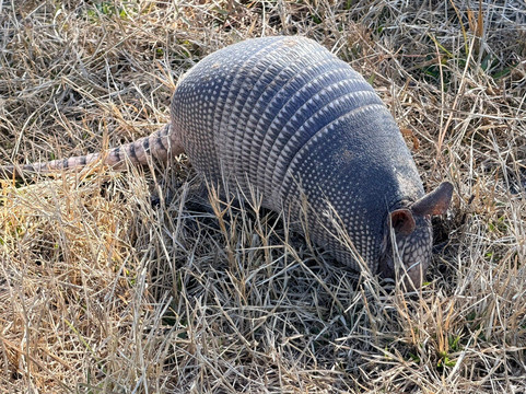 Helen and Allan Cruickshank Sanctuary-Rockledge必去景点