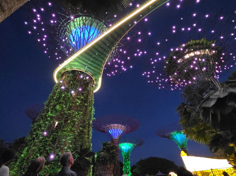 擎天树丛-新加坡必去景点